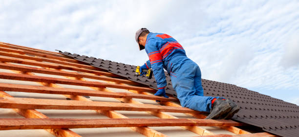 Best Sheet Metal Roofing  in Powderly, TX