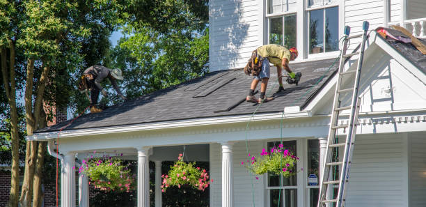 Best Roof Moss and Algae Removal  in Powderly, TX